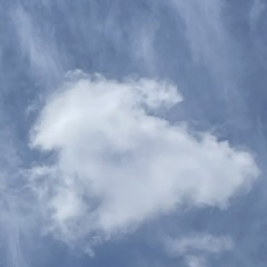 꿈을 향해 (inst.)