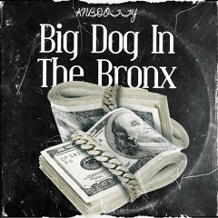 Bronx Streets