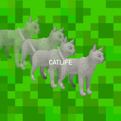 catlife!! ft.soma(Jeudis)