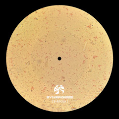 P R E M I E R E : Tommaso Arcuri - Veleno Per La Mente II (SYEP039)