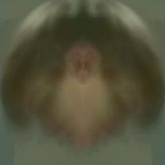 Wuthering Heights by Emily Brontë c