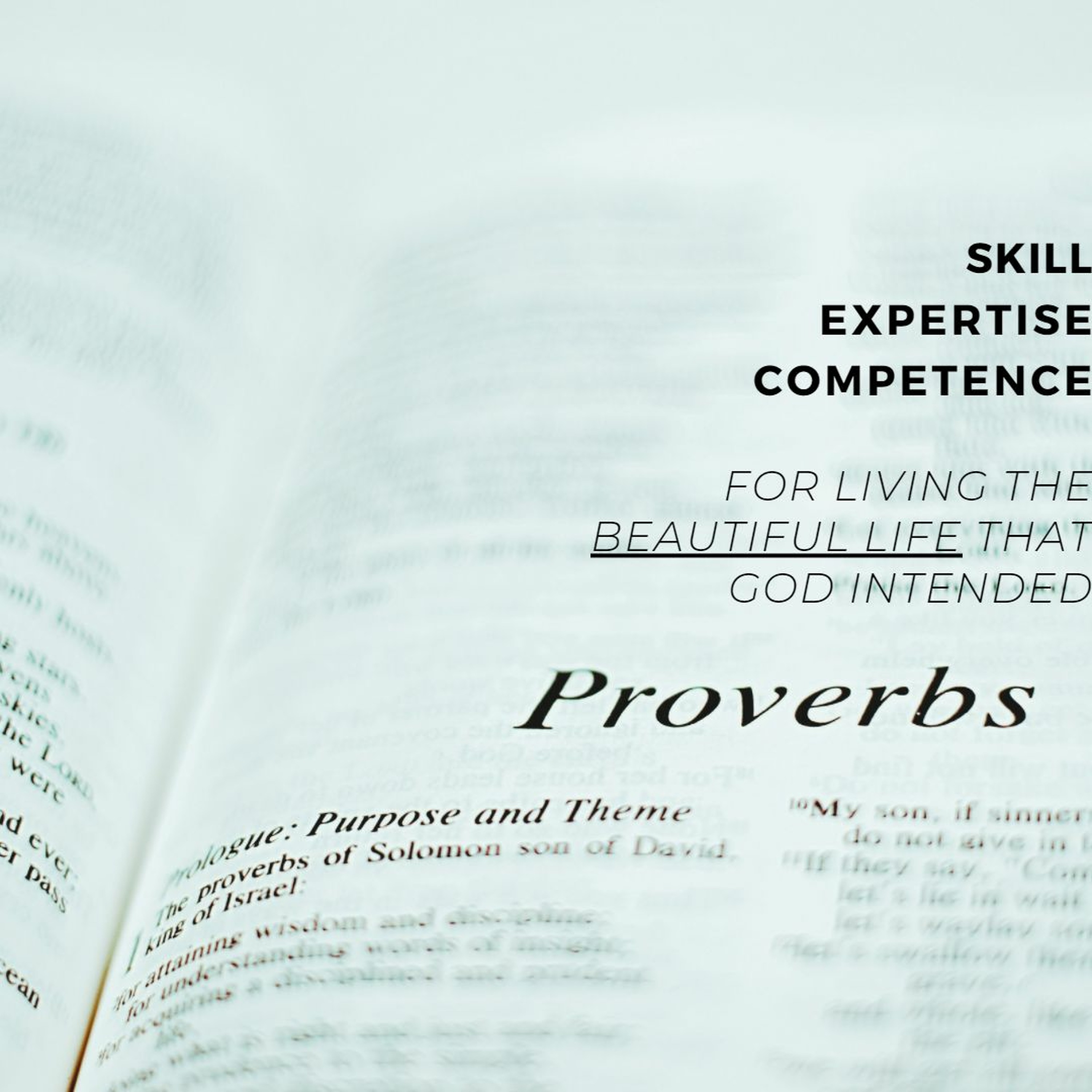 The Beautiful Life | Proverbs - Emotions thumbnail
