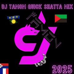 DJ TAMON QUICK SHATTA MIX