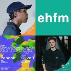 Synergy EHFM MIX