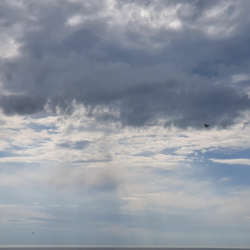 can't escape from me