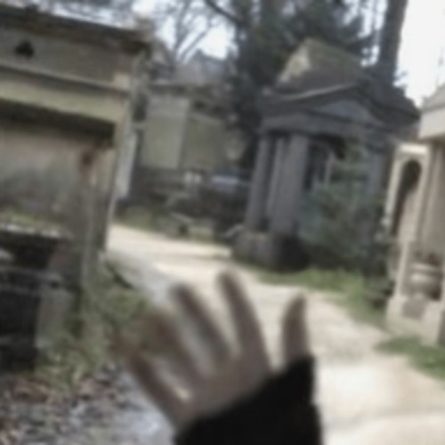 fragmented w/ fxxlz [diedinoctober]