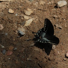 Out From Under It demo