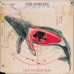 The Amblers - Just Get Me To Bed (Live At High Seas)