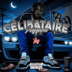 POLYGAME x CELIBATAIRE POLYGAME ( DJ MV OFFICIEL )