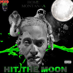HIT THE MOON