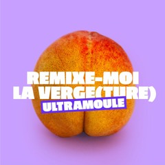 REMIXE-MOI LA VERGE(TURE)