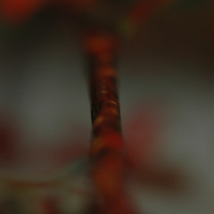 Miss_Tentigo_live_@Radio_Leinwelle_Clubnight 15.11.25