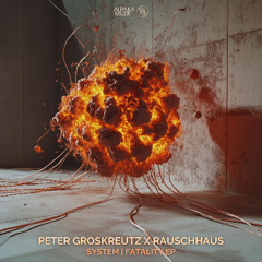 Peter Groskreutz & Rauschhaus - System (Original Mix) **PREVIEW**