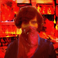 A Love Song For The Revolution