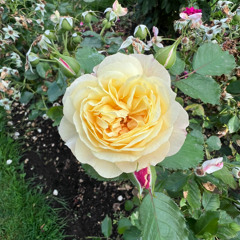 End-O-Summa :( riddim mix :)