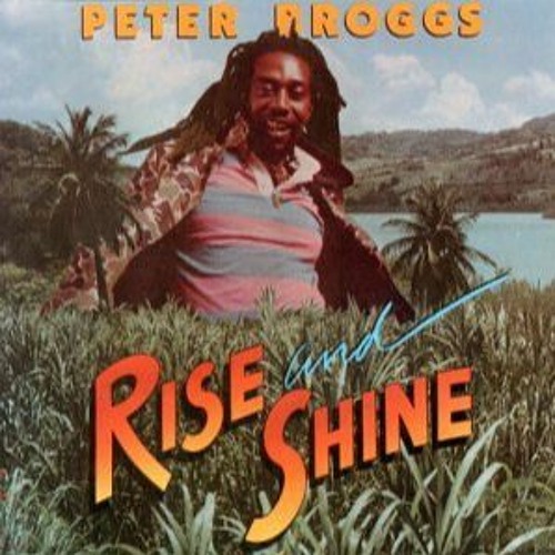 Stream Peter Broggs - Rise And Shine by KILLADUB&REGGAE | Listen 