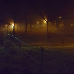 white noise (reversed)