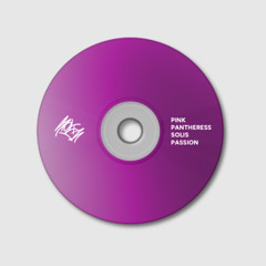 pinkpantheress - passion // solis flip