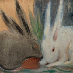 pelea de conejos - CRICRI (bunny club) 🐇🐇