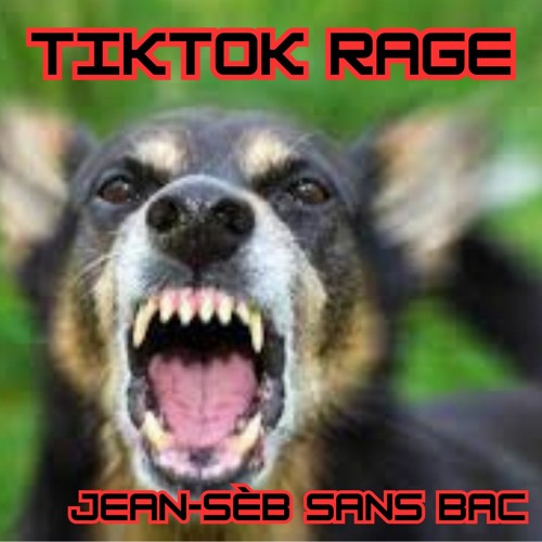 tiktok rage