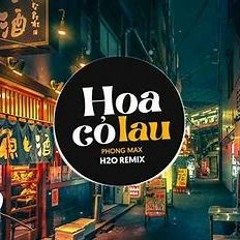 Hoa Cỏ Lau H2O Remix - Phong Max