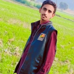 Pahnjan_ma_Lagi_aa_Sindhi_song_Shahid_Ali_babar(256k)