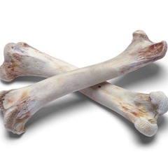 Can These Bones Live?