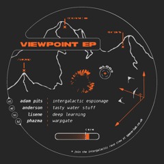Various Artists - Viewpoint EP (SL003)