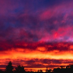 bloody sun-flyandspace