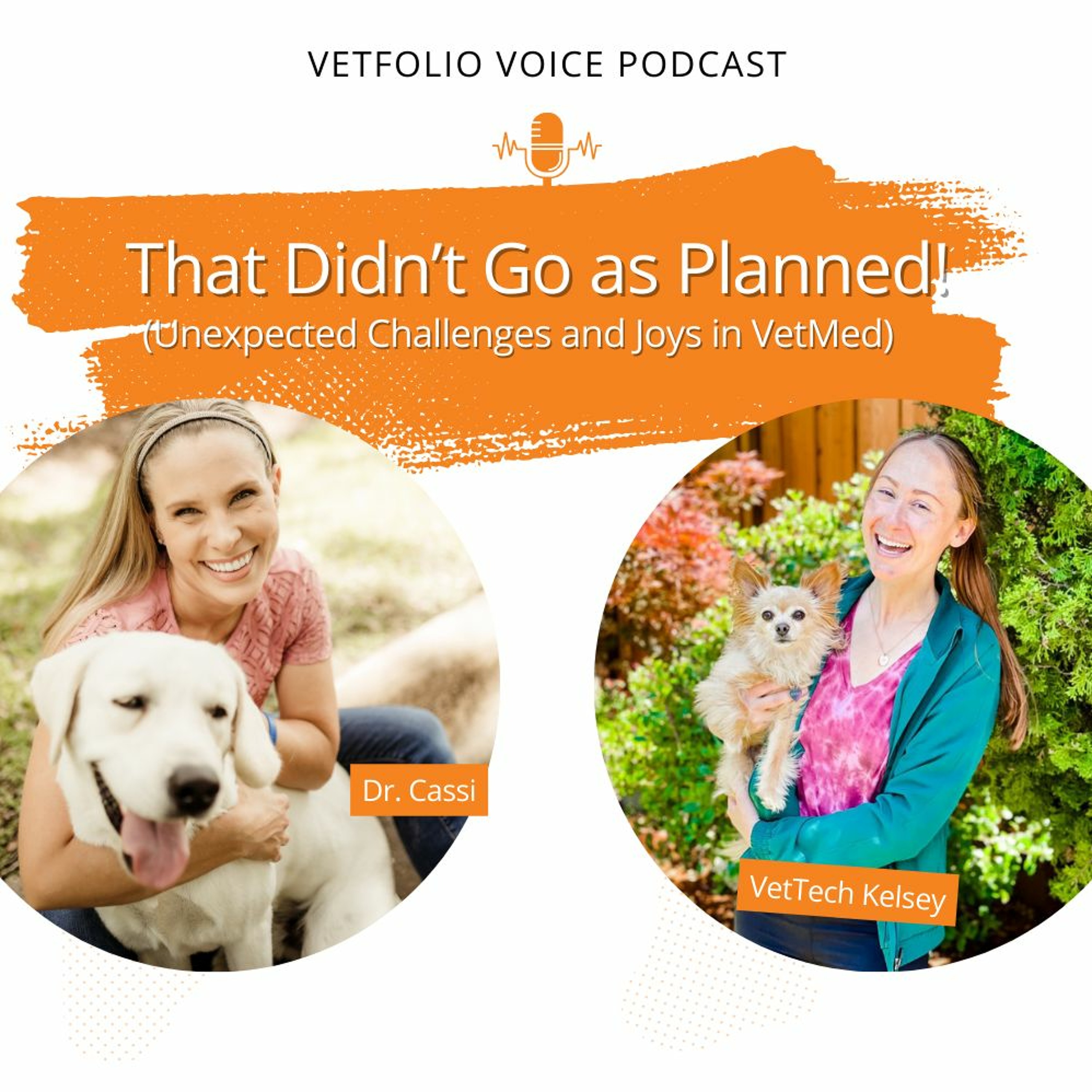 That Didn’t Go as Planned! (Unexpected Challenges and Joys in VetMed)