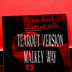 Vörös Bort Ittam Az Este [RED Tearout'D]