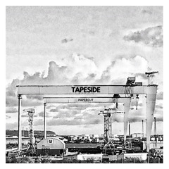 Linkin Park - Papercut (Cover)