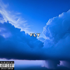 FLY