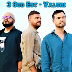 3 Sud Est - Valuri (Audio Edit)