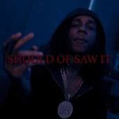 Bloodyhound Lil Jeff - Should of Saw It (Official Music Video)