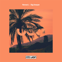 Nenad J.- Dig Deeper (Luis Bravo's Stripped Remix) (preview)