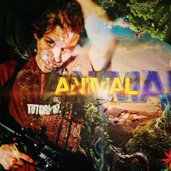 AN!MAL