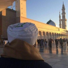 يا ستي الزهرا بصوت جهاد الكالوتي