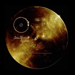 The Golden Record - Aron Akkerman