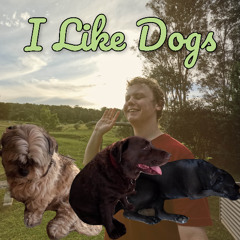 I Like Dogs