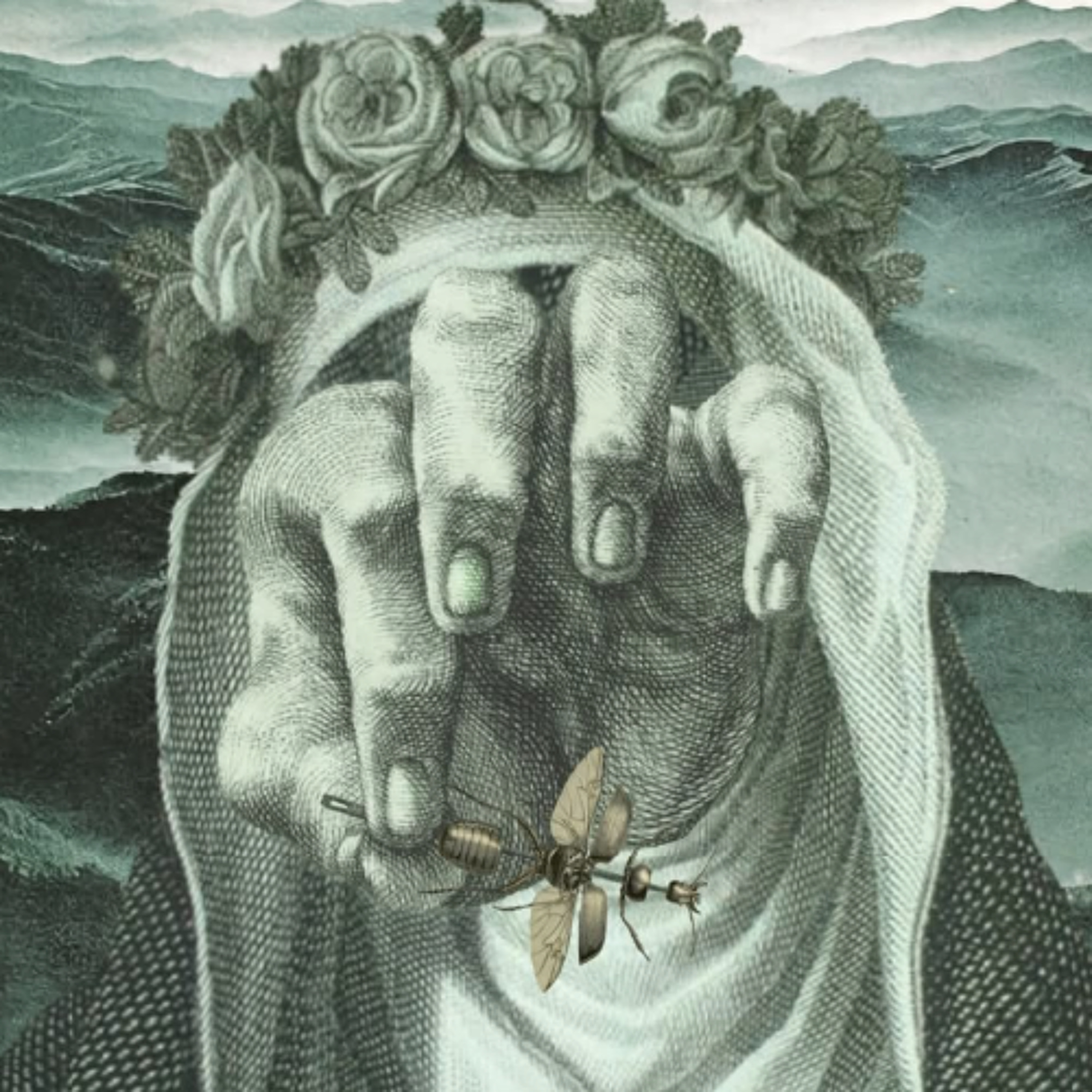 MN & Corpus - Untitled episode artwork
