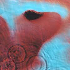 Echoes pink floyd cover