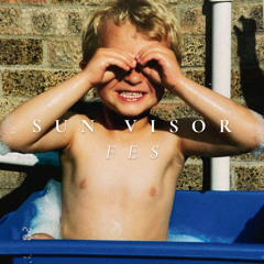 Sun Visor