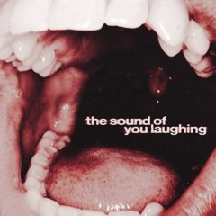 Sound of You Laughing