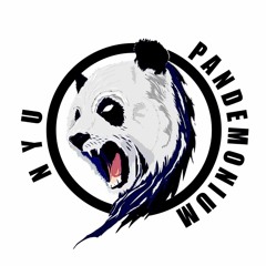 NYU Pandemonium @ Nachte Raho 2020 (ft. DJ Vishnu)