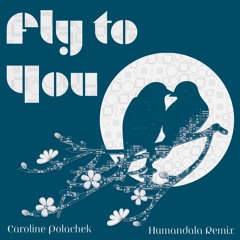Caroline Polachek - Fly To You (Humandala remix)
