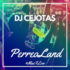 Mix Reggaeton - PerreoLand (Old School Version)