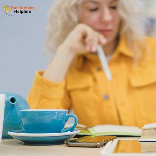 Make Your Coursework Help With Experts At Low Price