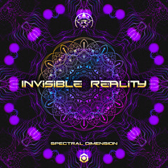 Spectral Dimension