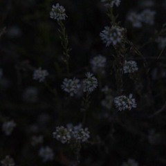 Feel This Life - Пачка На Двоих